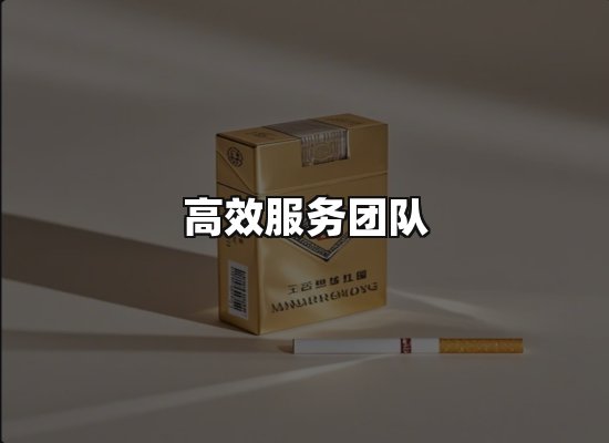 专业优势